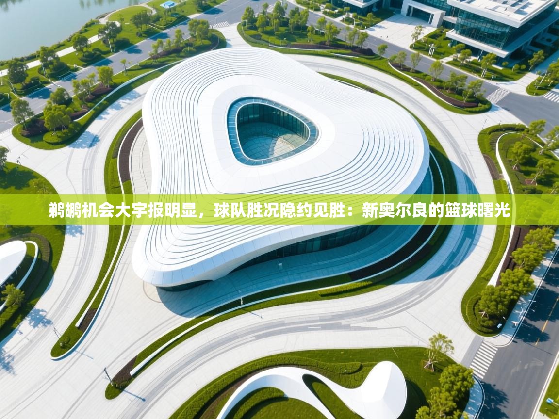 鹈鹕机会大字报明显，球队胜况隐约见胜：新奥尔良的篮球曙光  第1张