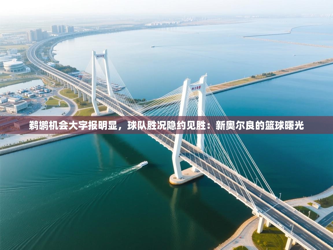 鹈鹕机会大字报明显，球队胜况隐约见胜：新奥尔良的篮球曙光  第2张