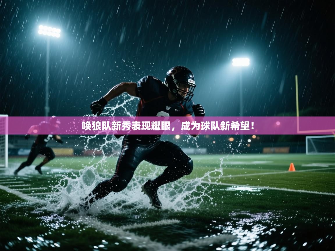 唤狼队新秀表现耀眼，成为球队新希望！  第1张