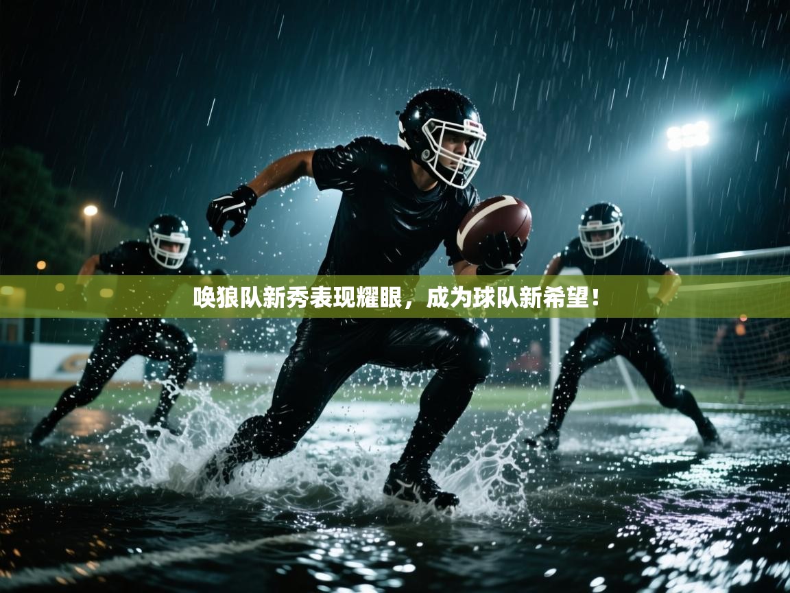 唤狼队新秀表现耀眼，成为球队新希望！  第2张