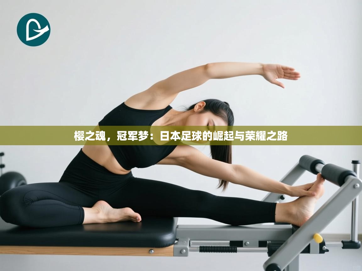 樱之魂,冠军梦:日本足球的崛起与荣耀之路 第2张