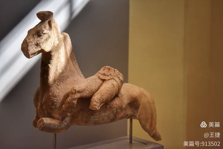 运动灵魂！女足运动员技艺精湛，令人折服的简单介绍