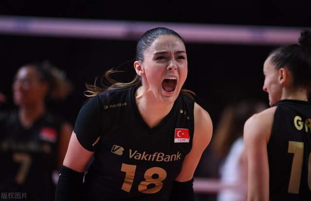 开云体育app下载-瑞典不敌西班牙，小组形势继续颓势的简单介绍